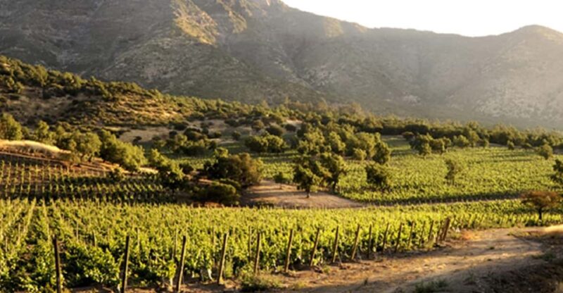 From Santiago: Maipo Valley Wine Tour - Key Points