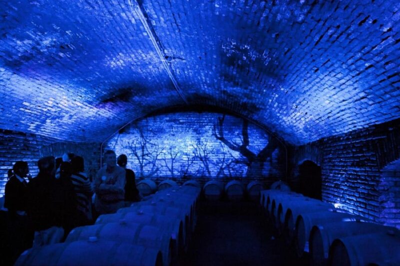 From Santiago: Maipo Valley Wine Tour - Booking Information