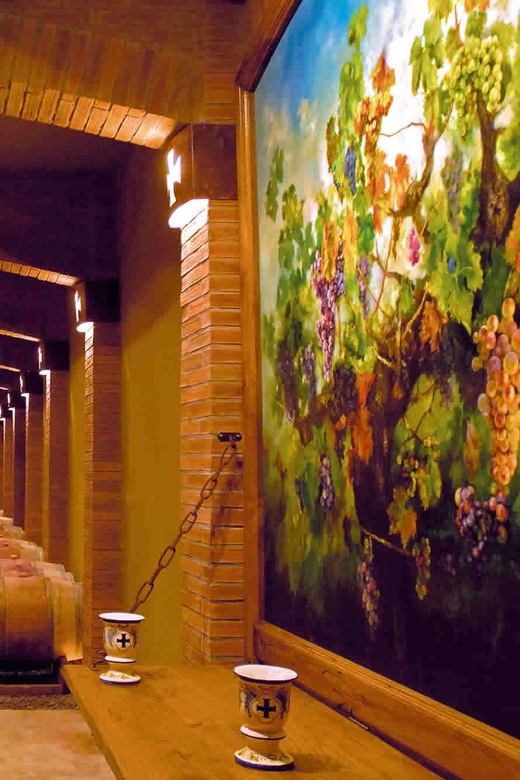 From Santiago: Private Wine Tour in the Colchagua Valley - Tour Overview
