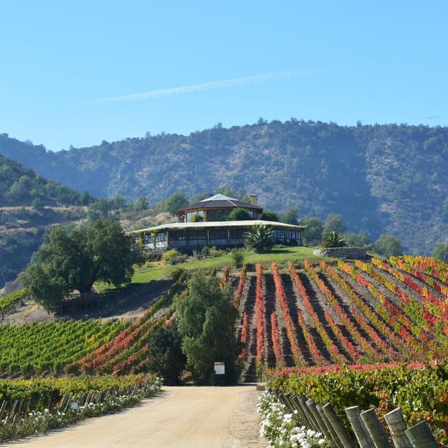 From Santiago: Private Wine Tour in the Colchagua Valley - Bike Tour and Return
