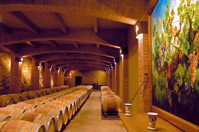 From Santiago: Private Wine Tour in the Colchagua Valley - Wine Experience