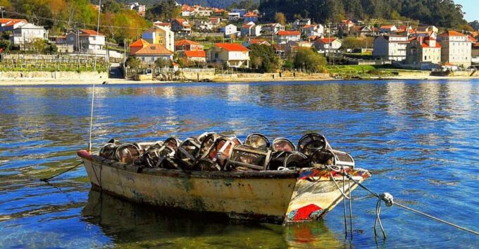 From Santiago: Rías Baixas Galicia Seafood & Wine Day Tour - Logistical Details