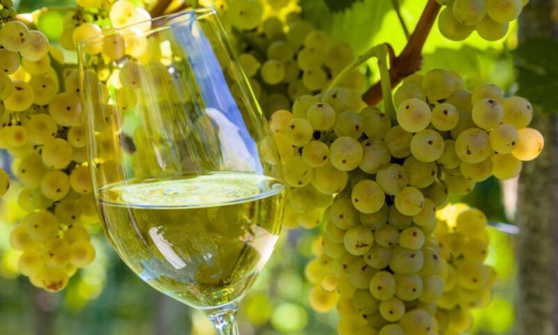 From Santiago: Tour to Rias Baixas With Boat, Seafood & Wine - O Grove: Break, Visit, and Shopping