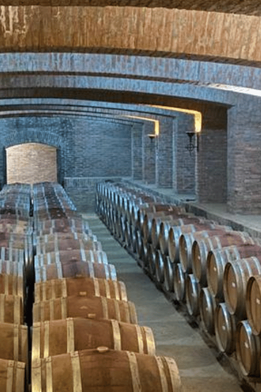 From Santiago: Undurraga Winery Tour With Tasting - Transportation and Accessibility
