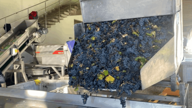 From Santiago: Undurraga Winery Tour With Tasting - Important Information