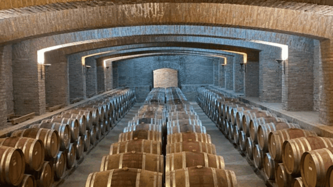 From Santiago: Undurraga Winery Tour With Tasting - Exploring the Winery