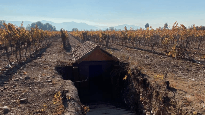 From Santiago: Undurraga Winery Tour With Tasting - Mapuche Worldview Showcase