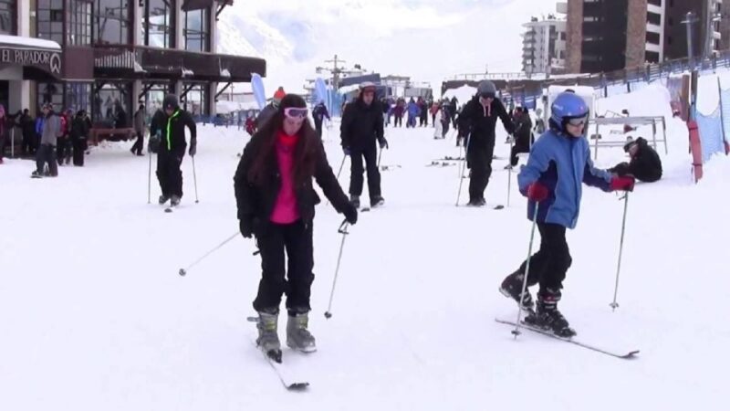 From Santiago: Valle Nevado and Farellones Small Group Tour - Customer Reviews and Tips