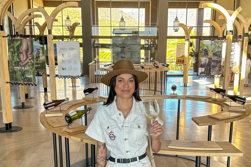 From Santiago: Vineyard, Valparaíso, and Viña Del Mar Tour - Inclusions and Exclusions