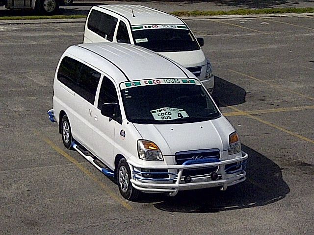 From Santo Domingo: 1-Way Private Hotel Transfers - Booking and Payment