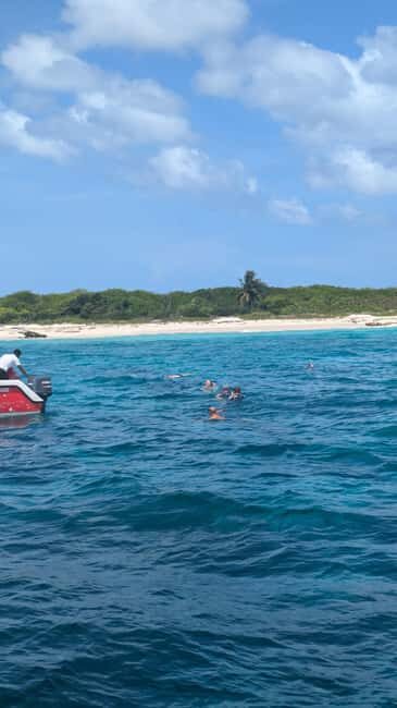 From Santo Domingo: Catalina Island Day Tour - FAQ