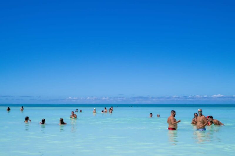 From Santo Domingo: Isla Saona Full-Day Tour With Lunch - Key Points