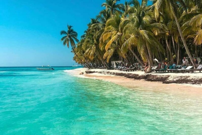 From Santo Domingo: Saona Island Catamaran and Speedboat - Key Points