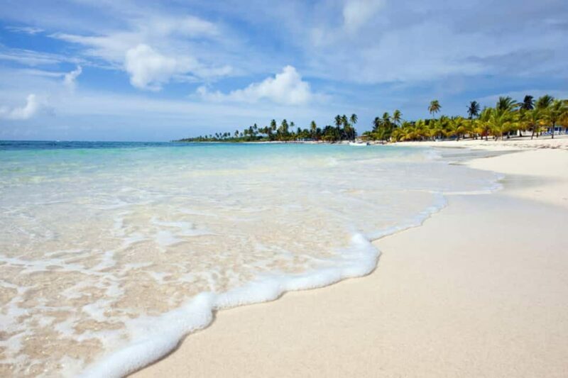 From Santo Domingo: Saona Island Catamaran and Speedboat - A Detailed Look at the Saona Island Experience from Santo Domingo
