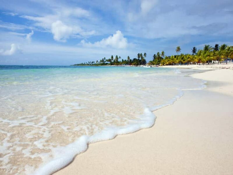 From Santo Domingo: Saona Island Day Trip with Lunch - Who Will Enjoy This Tour Most?