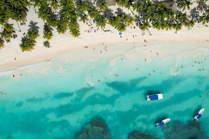 From Santo Domingo Saona Island Food And Drink Catamaran Vip - Key Points