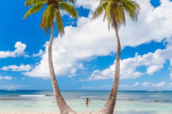 From Santo Domingo Saona Island Food And Drink Catamaran Vip - Who Would Enjoy This Tour?