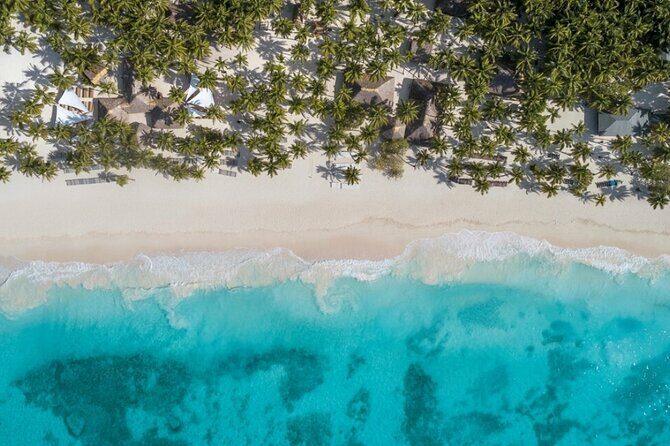 From Santo Domingo Saona Island Food And Drink Catamaran Vip - The Sum Up