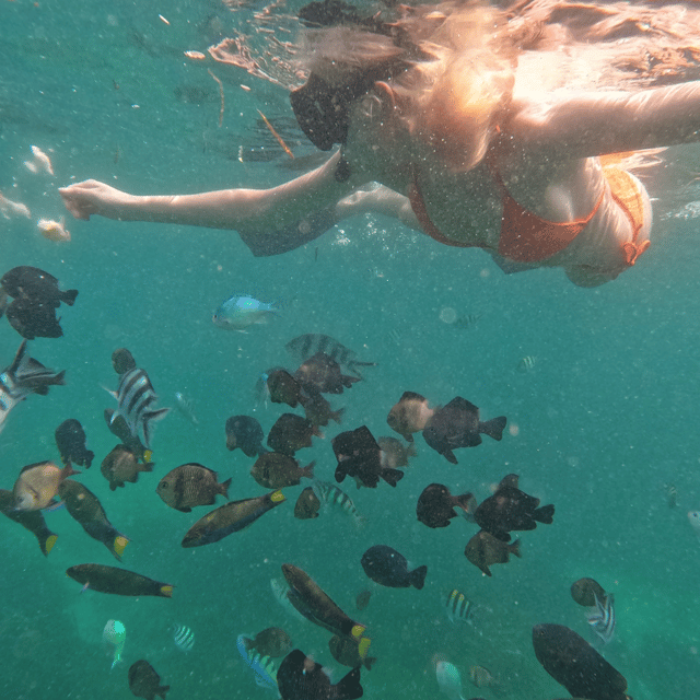 From Sanur : Snorkeling and Land Excursion at Nusa Penida - Itinerary Details