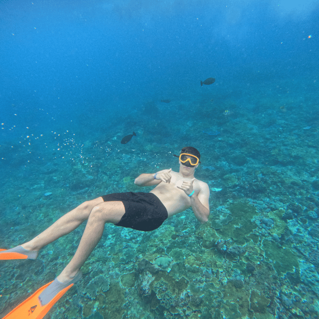 From Sanur : Snorkeling and Land Excursion at Nusa Penida - Drop-off Locations