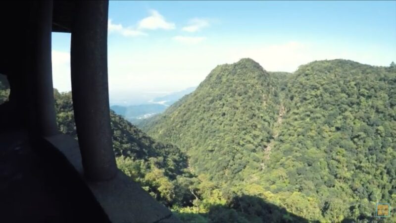 From São Paulo: Private Tour of Atlantic Forest & Valleys - Key Points