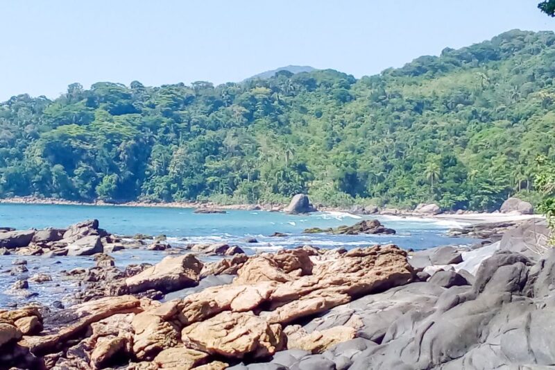 From São Paulo: Santo Amaro Island & Wild Beaches Day Trip - Exclusions and Requirements