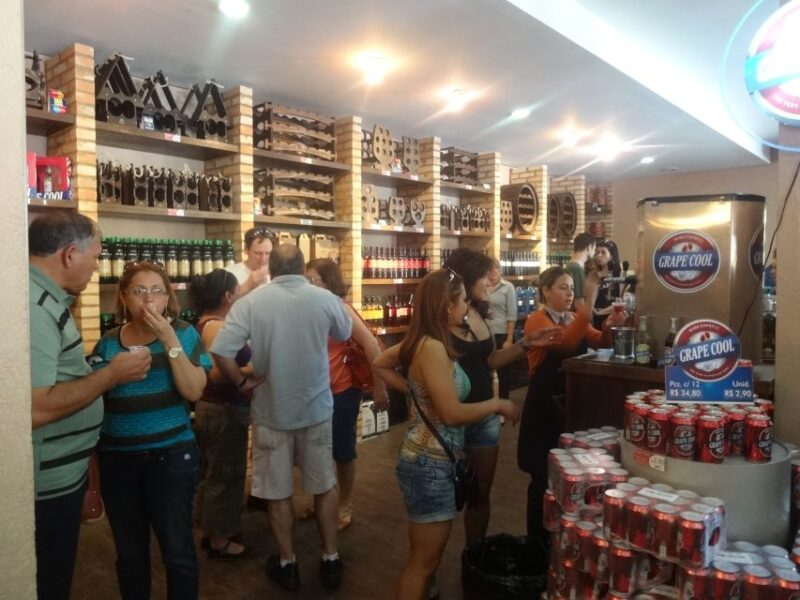 From São Paulo: São Roque Wineries Route and Shopping Tour - Winery Tour Activities
