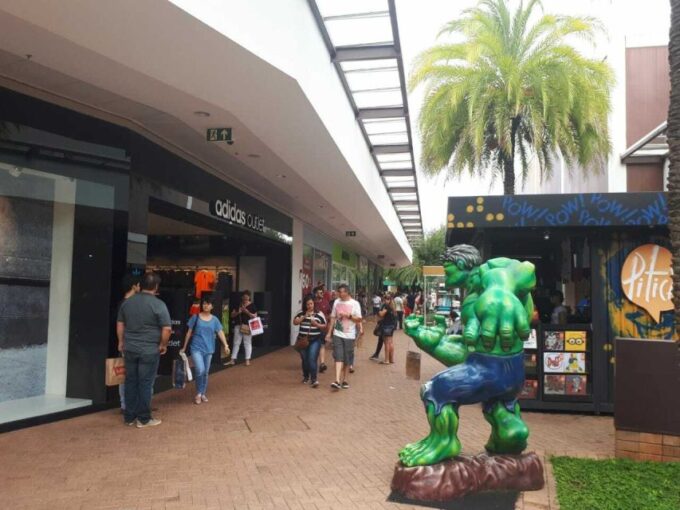 From São Paulo: São Roque Wineries Route and Shopping Tour - Included in the Tour