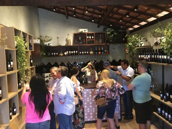 From São Paulo: São Roque Wineries Route and Shopping Tour - Optional Add-on