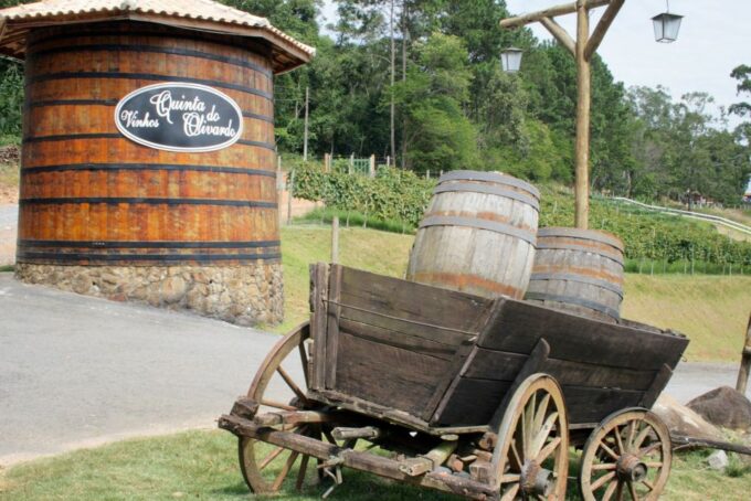 From São Paulo: São Roque Wineries Route and Shopping Tour - Booking and Cancellation