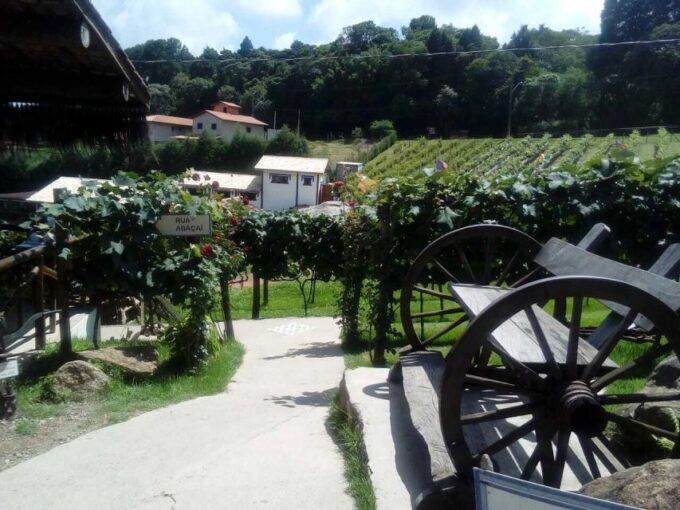 From São Paulo: São Roque Wineries Route and Shopping Tour - Frequently Asked Questions