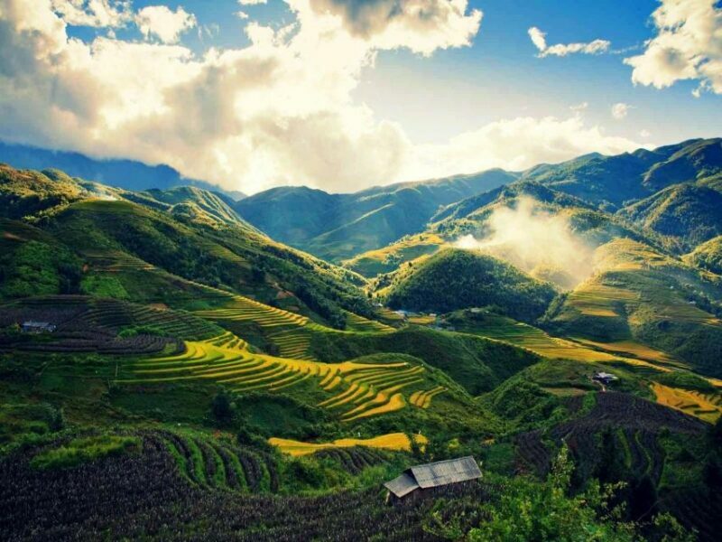 From Sapa : 1 Day Amazing Sapa Trek To Terrace rice field - Introduction