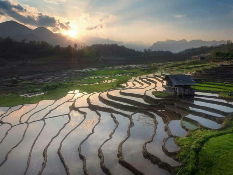 From Sapa : 1 Day Amazing Sapa Trek To Terrace rice field - Value and Practical Considerations