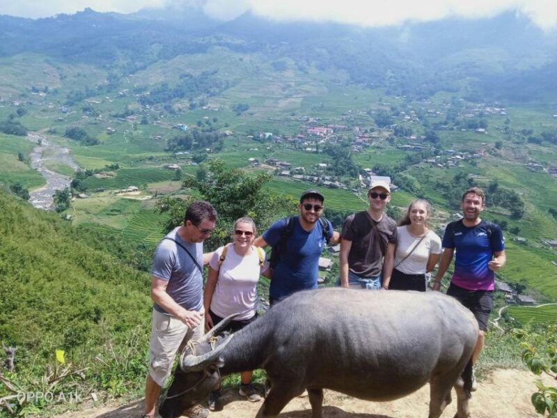 From Sapa : 1 Day Amazing Sapa Trek to Terrace Rice Field - Tour Details