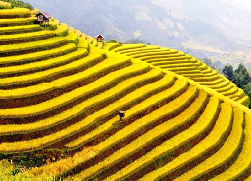 From Sapa : 1 Day Amazing Sapa Trek to Terrace Rice Field - Exclusions