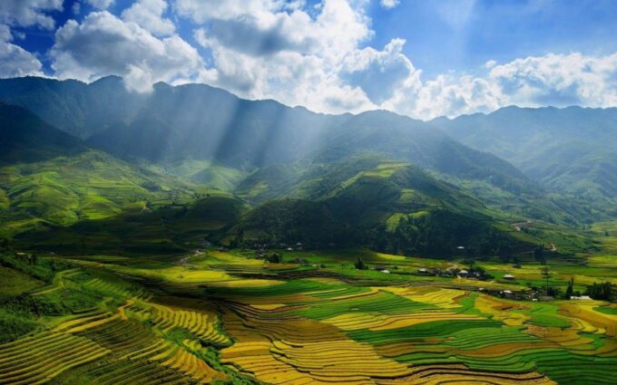 From Sapa : 1 Day Amazing Sapa Trek to Terrace Rice Field - Savoring Local Delicacies