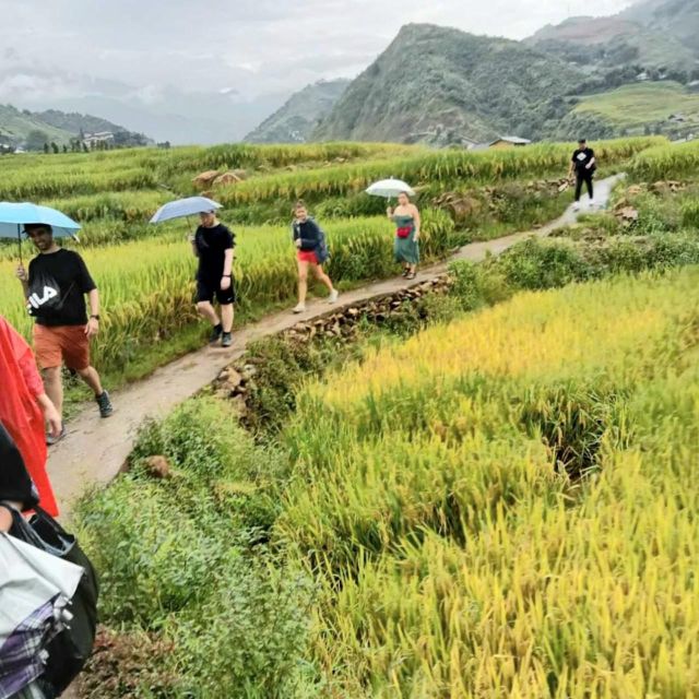 From Sapa : 1 Day Amazing Sapa Trek to Terrace Rice Field - Frequently Asked Questions