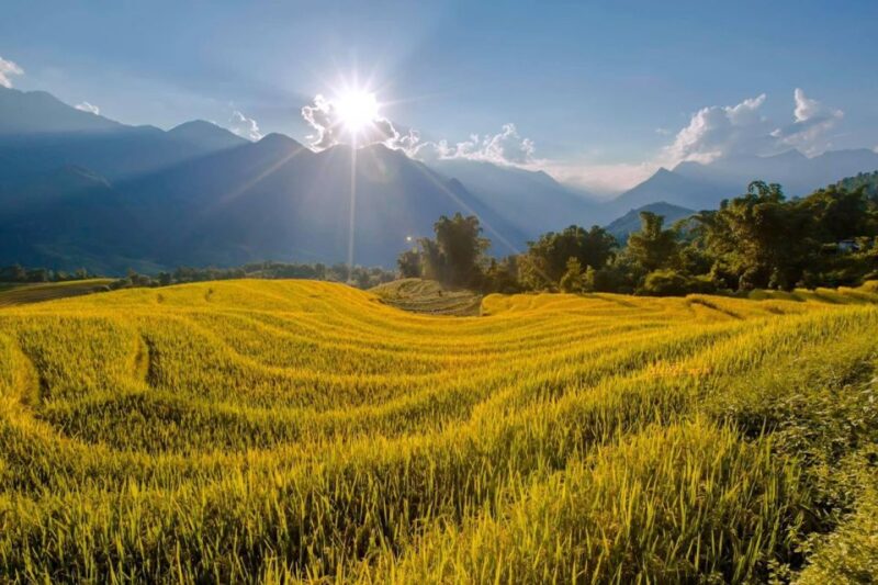 From Sapa: 1-Day Guided Trek to Lao Chai & Ta Van With Lunch - Fitness Level and Attire