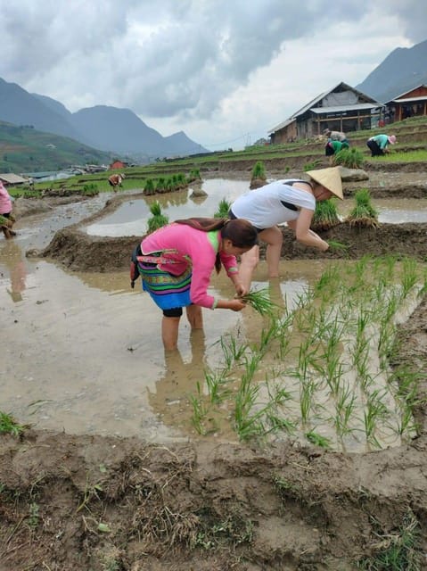 From Sapa - 1 Day Trek : Discovery the Real Life of Local . - Important Information