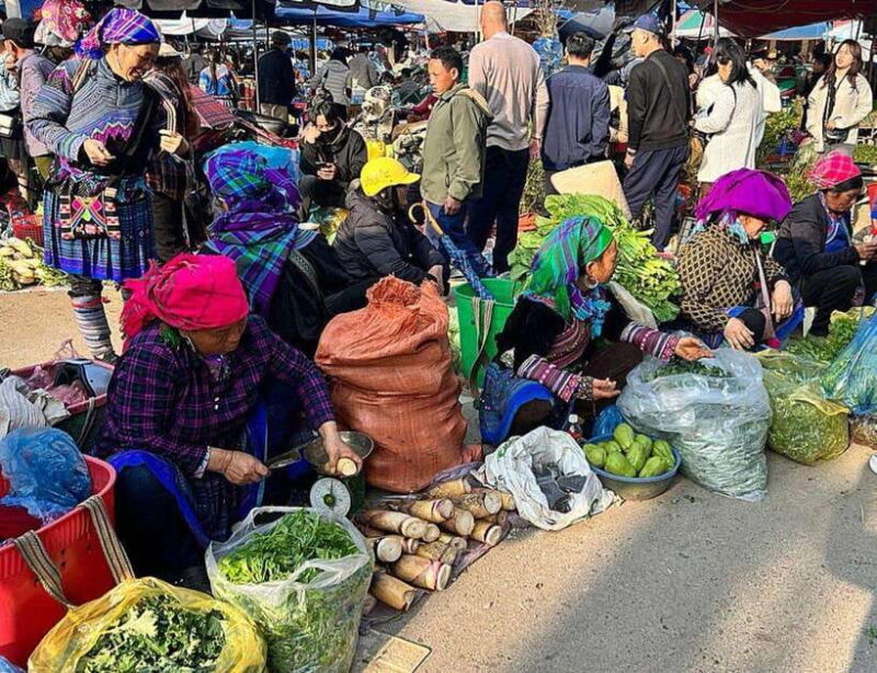 From Sapa: 1D Local Bac Ha Sunday Market Tour - Best Seller - Itinerary and Highlights