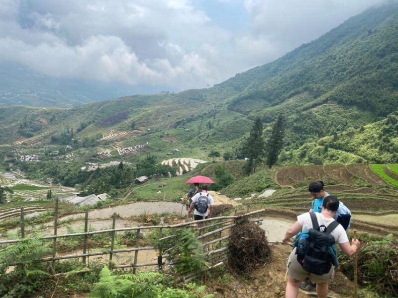 From Sapa - 1D Trek: Walk Through Bamboo Forest With Lunch - Key Points