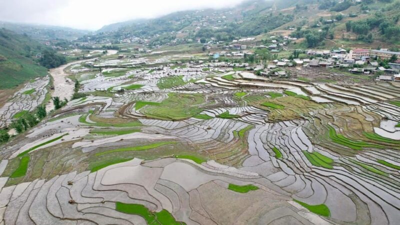 From Sapa - 1D Trek: Walk Through Bamboo Forest With Lunch - Experience Highlights