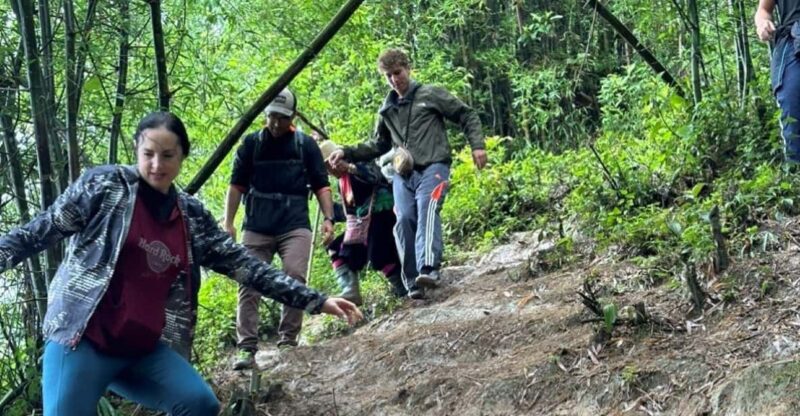 From Sapa - 1D Trek: Walk Through Bamboo Forest With Lunch - Itinerary Details