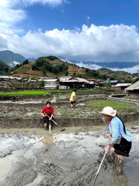 From Sapa - 1D Trek: Walk Through Bamboo Forest With Lunch - Pickup and Meeting Point