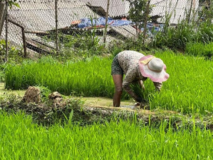 From Sapa - 1D Trek: Walk Through Bamboo Forest With Lunch - Cancellation Policy