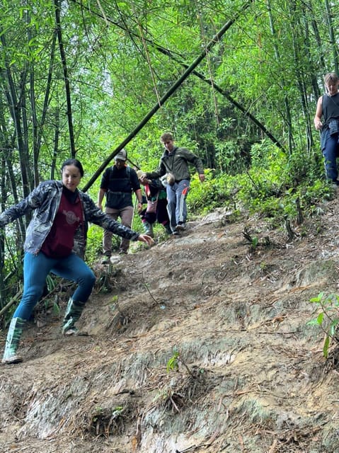 From Sapa - 1D Trek: Walk Through Bamboo Forest With Lunch - Frequently Asked Questions