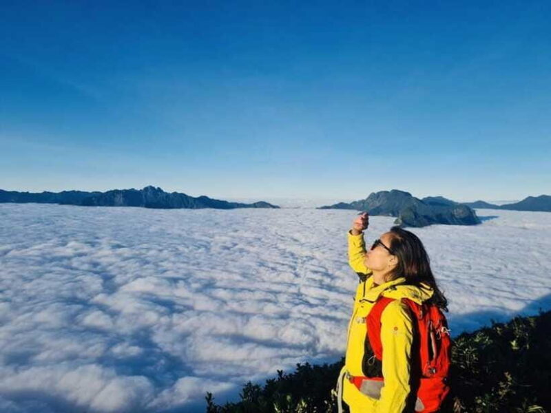 From Sapa: 2-Day Fansipan Peak Trekking Tour - What to Bring and Important Information