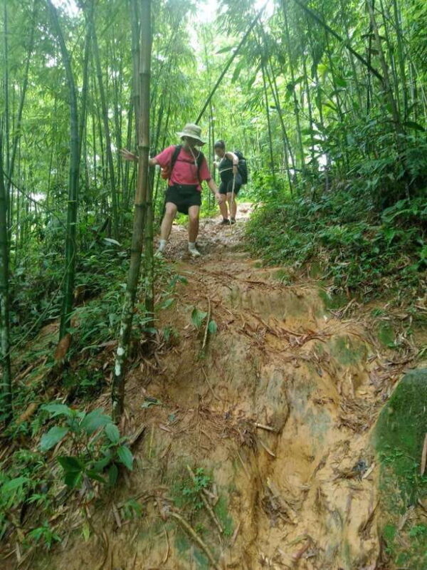From Sapa: 2-Day Fansipan Peak Trekking Tour - Conquering the Summit of Fansipan Peak
