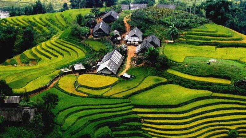 From Sapa: 2-Day Trekking Tour With Local Villages - Tour Overview and Pricing