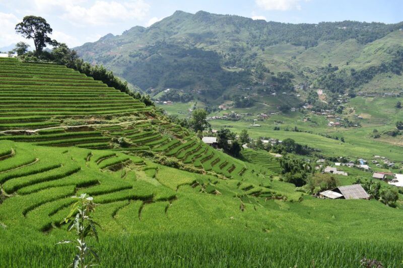 From Sapa: 2D1N Sapa Trekking Tour With Local Expert - Day 1 Itinerary
